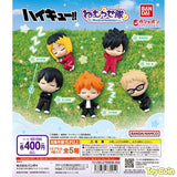 Haikyuu!! Nemurasetai