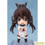 Nendoroid Houki Shinonono
