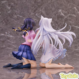 Tsubasa Hanekawa