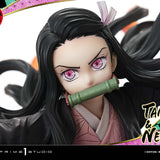 Concept Masterline Kamado Tanjiro & Kamado Nezuko