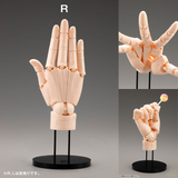 [ARTIST SUPPORT ITEM] Takahiro Kagami HAND MODEL/R -PALE ORANGE-