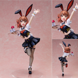 Ume Hanami Bunny Ver.