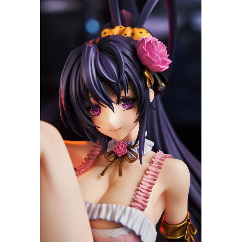 Akeno Himejima Light Novel 15th Anniversary Ver. (Renewal Package Edition) by Kadokawa - Shop at ToyCoin