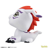 LookUp Gomamon