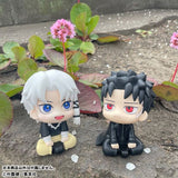 LookUp Hakuri Sazanami