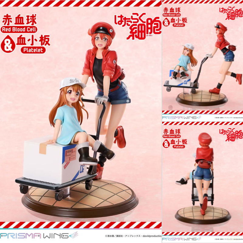 PRISMA WING Cells at Work Red Blood Cell & Platelet