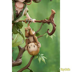 Anu by APEX - Shop at ToyCoin