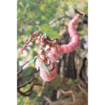 Arcanadea Meltina Plastic Model by  Kotobukiya 4934054057009 ToyCoin