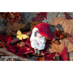 "Autumn Arrives" Illustrated by Tokiwata by  Ensun 6977501720093 ToyCoin