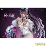 BRIGHT RABBIT by PIJI - Shop at ToyCoin