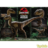 Velociraptor: Closed Mouth