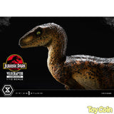 Velociraptor: Closed Mouth