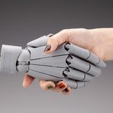 [ARTIST SUPPORT ITEM] Takahiro Kagami HAND MODEL/R -GRAY-