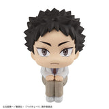 LookUp Hajime Iwaizumi