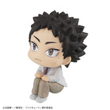 LookUp Hajime Iwaizumi