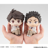 LookUp Hajime Iwaizumi