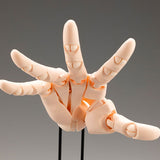 [ARTIST SUPPORT ITEM] Takahiro Kagami HAND MODEL/R -PALE ORANGE-