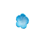 Isekaijoucho Universal Body Nemophila by Kadokawa - Shop at ToyCoin