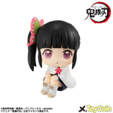 LookUp Kanao Tsuyuri