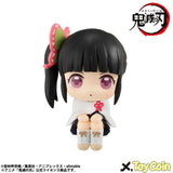 LookUp Kanao Tsuyuri