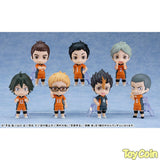 Nendoroid Surprise Haikyu!! 02 Karasuno Edition