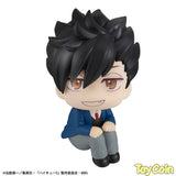 LookUp Tetsuro Kuroo