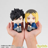 LookUp Tetsuro Kuroo