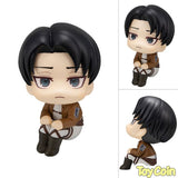 LookUp Levi