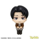 LookUp Levi