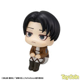 LookUp Levi