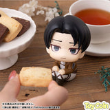 LookUp Levi
