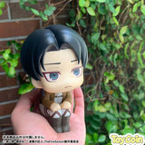 LookUp Levi