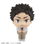 LookUp Hajime Iwaizumi by Megahouse - Shop at ToyCoin