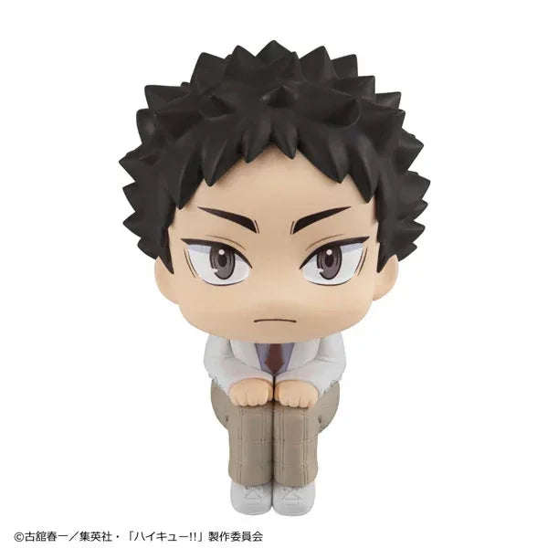 LookUp Hajime Iwaizumi by Megahouse - Shop at ToyCoin
