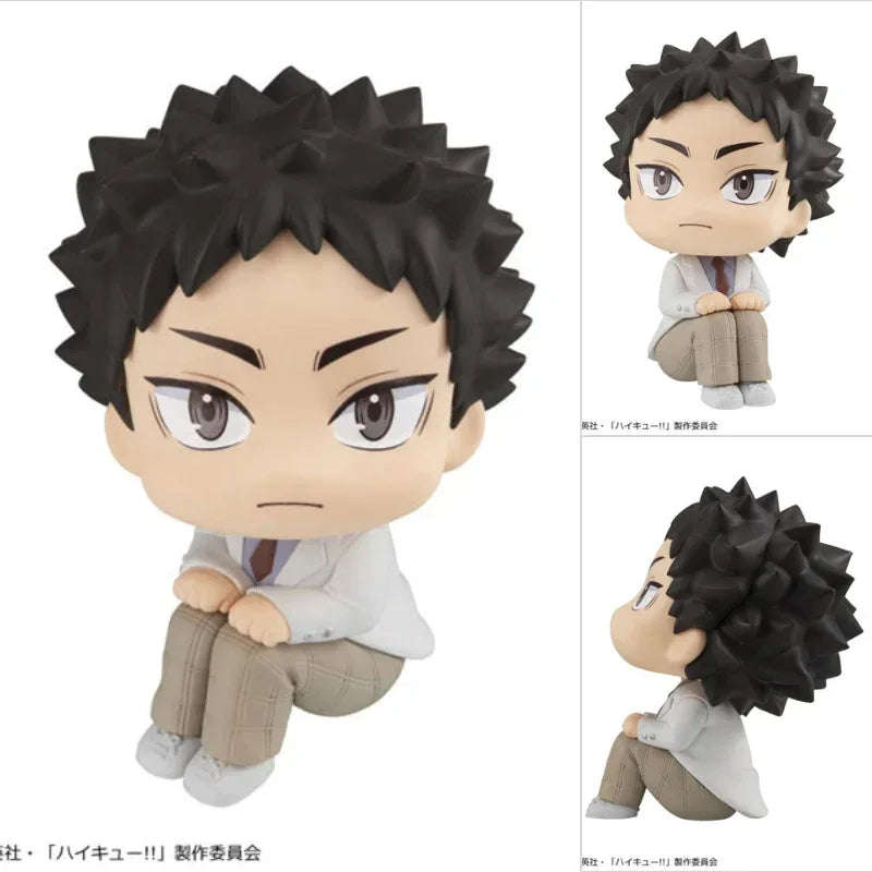 LookUp Hajime Iwaizumi by Megahouse - Shop at ToyCoin