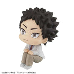 LookUp Hajime Iwaizumi by Megahouse - Shop at ToyCoin