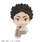 LookUp Hajime Iwaizumi by Megahouse - Shop at ToyCoin