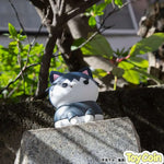 MEGA CAT PROJECT: Jujutsu Kaisen Hidden Inventory / Premature Death Nyantomo Ookina Jujutsu Nyanko Toji Fushiguro Soft Vinyl Figure by Megahouse - Shop at ToyCoin