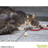 MEGA CAT PROJECT Meowruto! NARUTO Sasuke Ku-n Kocchi ni Irasshai Hen