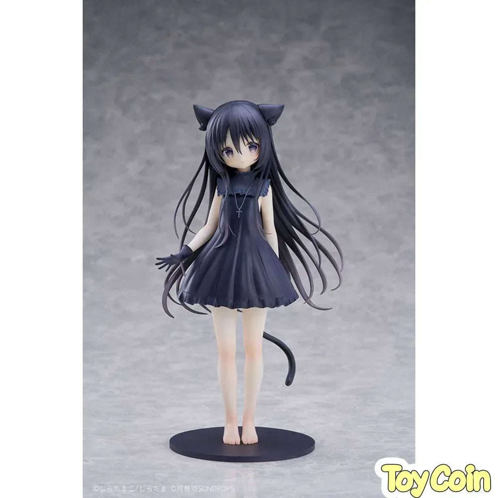 Noir by SUNDROPS - Shop at ToyCoin