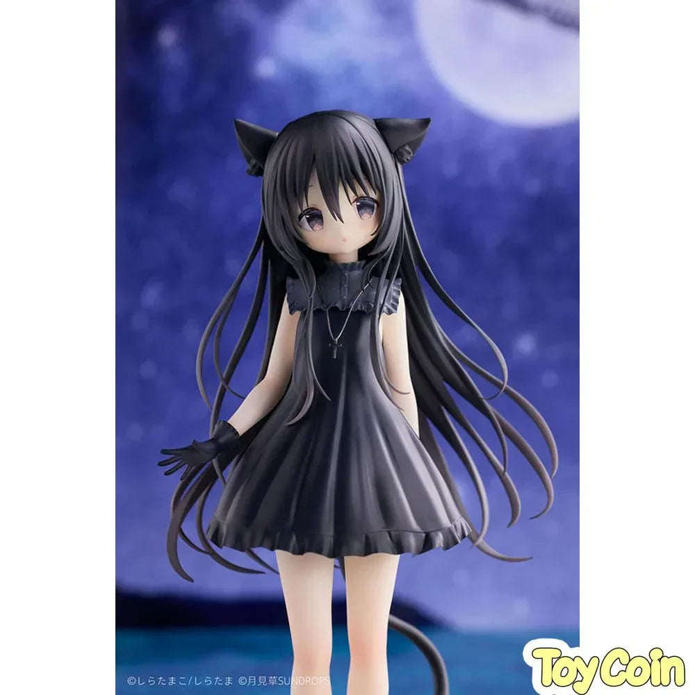Noir by SUNDROPS - Shop at ToyCoin