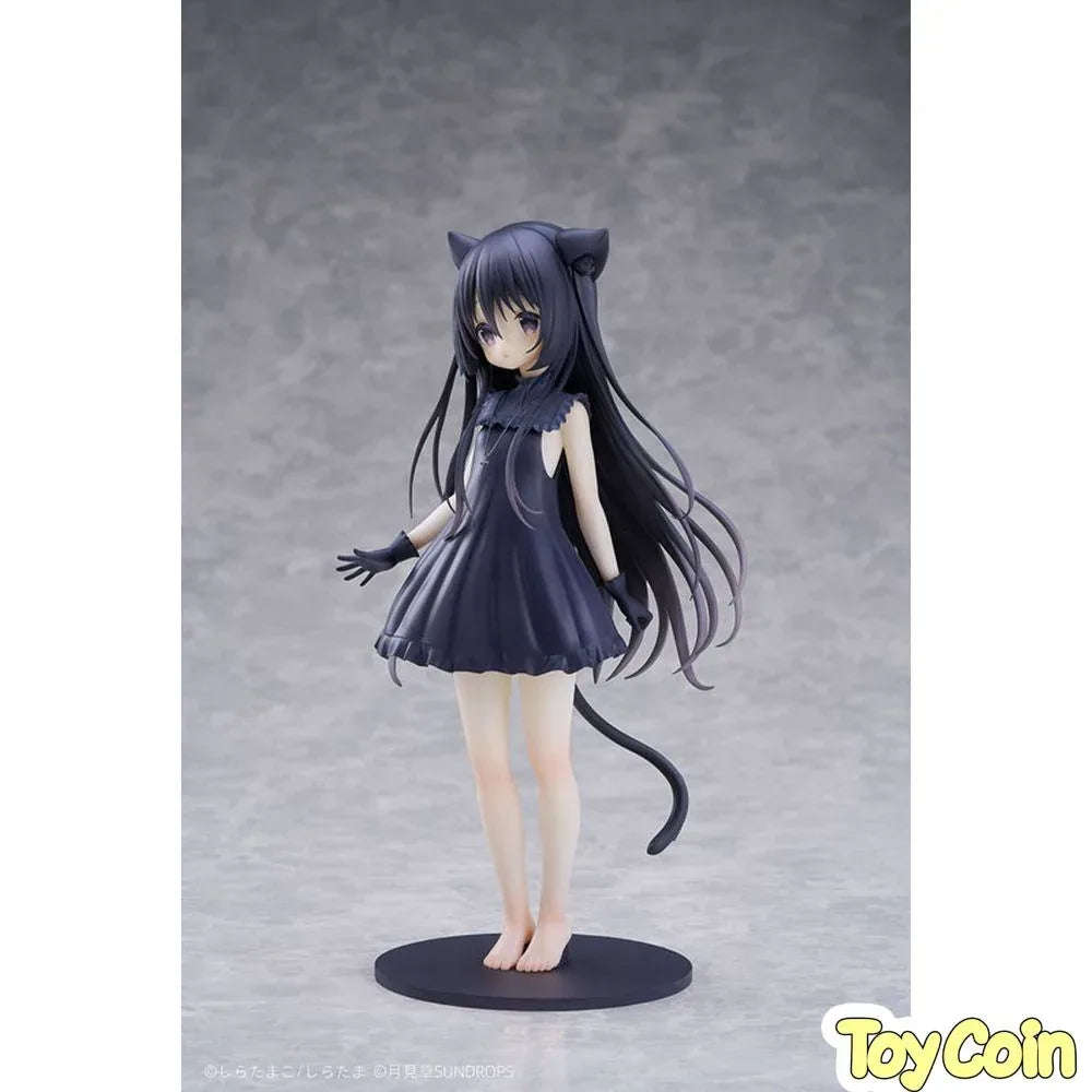 Noir by SUNDROPS - Shop at ToyCoin