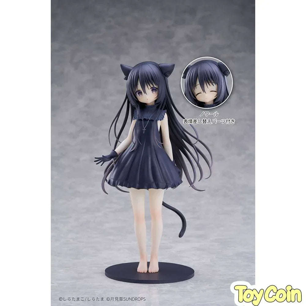 Noir by SUNDROPS - Shop at ToyCoin