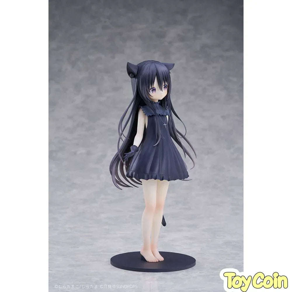 Noir by SUNDROPS - Shop at ToyCoin