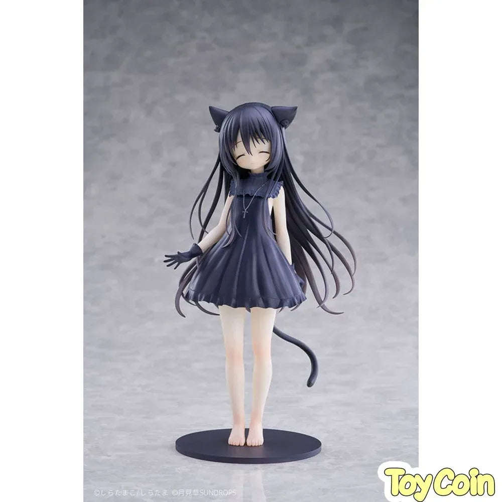 Noir by SUNDROPS - Shop at ToyCoin