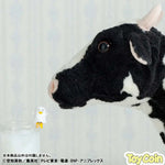 Ochatomo Gintama Choito Ippuku Shimasen ka? Box by Megahouse - Shop at ToyCoin