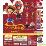 Onepi no Mi Vol. 20 by Bandai - Shop at ToyCoin
