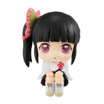 [PRE-OWNED] Lookup Kanao by Megahouse - Shop at ToyCoin