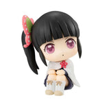 [PRE-OWNED] Lookup Kanao by Megahouse - Shop at ToyCoin