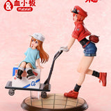 Red Blood Cell & Platelet